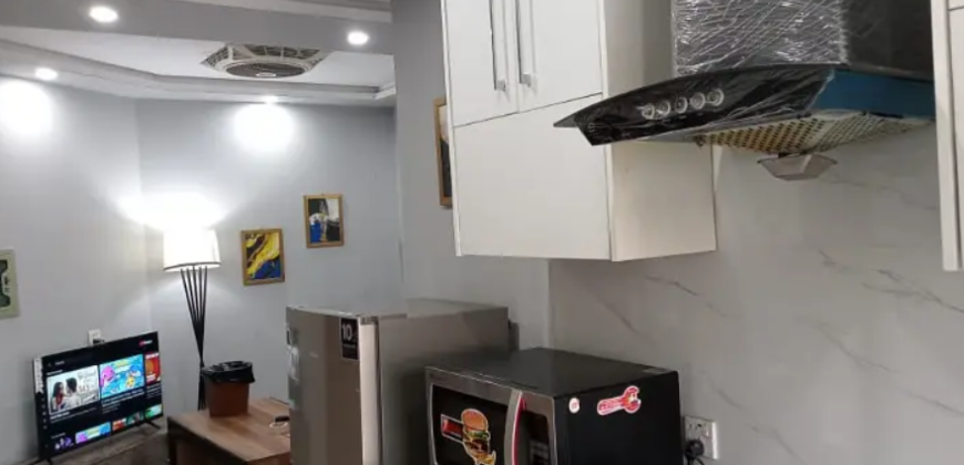 One Bed Apartment Furnished For Rent In Iqbal Block Like New Family Building