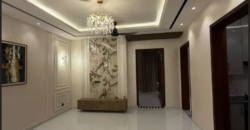 Brand New 10 Marla House For Sale In G Block, Central Park Lahore