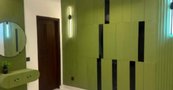 Brand New 5 Marla 2.5 Story House For Sale In A1 Block Central Park Lahore