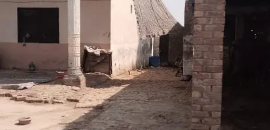 3 Kanal Dairy Farm Available For Rent nearby Ferozepur Road, Lahore