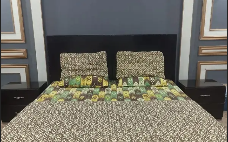 10 Marla Luxury Furnished Lower Portion For Rent In Bahria Town Lhr Near Hospital