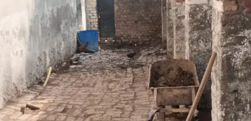 3 Kanal Dairy Farm Available For Rent nearby Ferozepur Road, Lahore