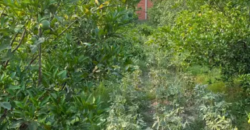 5 KW Installed Solar System, 25 KW Transformer, 12 Kanal Farm House For Sale On Bedian Road, Lahore